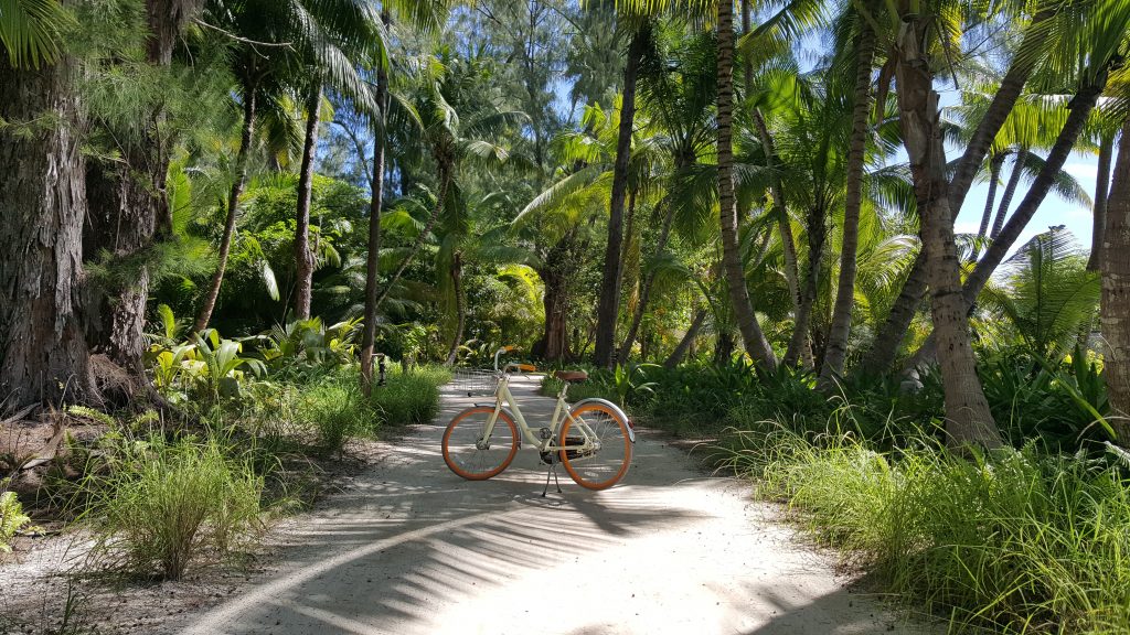 Mein Fahrrad auf der Insel